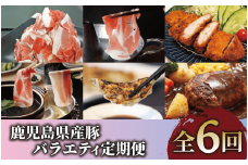 【全６回定期便】鹿児島県産豚バラエティ定期便(Z065-1726) 豚 黒豚 肉 豚肉 鹿児島県産 国産 鹿児島産 ハンバーグ しゃぶしゃぶ 鍋 とんかつ ロース 切り落とし 餃子 中華 惣菜 総菜 冷凍 スライス 頒布会 定期