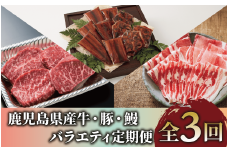 【全３回定期便】鹿児島県産牛・豚・鰻バラエティ定期便(Z055-1731) 牛 豚 鰻 牛肉 豚肉 肉 うなぎ 国産 鹿児島県産 鹿児島産 セット 頒布会 定期 ステーキ しゃぶしゃぶ 蒲焼 すき焼 すきやき すき焼き 冷凍 うなぎの蒲焼 うなぎ蒲焼 かばやき