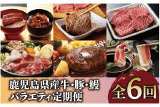 【全６回定期便】鹿児島県産牛・豚・鰻バラエティ定期便(Z100-1730) 牛肉 豚肉 うなぎ 鹿児島県産 鹿児島産 国産 定期 頒布会 スライス しゃぶしゃぶ すき焼き ハンバーグ 黒牛 黒豚 鹿児島黒牛 茶美豚 チャーミートン 焼肉 蒲焼 うなぎ蒲焼 6回