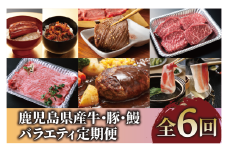 【全６回定期便】鹿児島県産牛・豚・鰻バラエティ定期便(Z100-2044) 牛肉 豚肉 うなぎ 鹿児島県産 鹿児島産 国産 定期 頒布会 スライス しゃぶしゃぶ すき焼き ハンバーグ 黒牛 黒豚 鹿児島黒牛 茶美豚 チャーミートン 焼肉 蒲焼 うなぎ蒲焼 6回