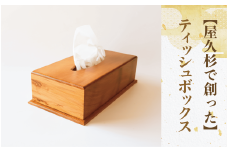 【屋久杉で創った】ティッシュボックス(高橋工芸/029-1871) 工芸品 ティッシュ ティッシュ箱 ティッシュカバー 屋久杉 杉 木 木工 木材 インテリア 装飾 家 リビング オリジナル 一点もの 手づくり てづくり 手作り 木目 手作業 職人 工芸 鹿児島  自然遺産 シック シンプル おしゃれ 小物