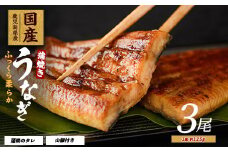 【鹿児島県産】うなぎ蒲焼じっくり焼き約125g×3尾 化粧箱入り(大新/016-1900) 鰻 ウナギ 蒲焼 国産 丑の日 うな重 無頭 ギフト プレゼント 贈り物 贈答 惣菜 総菜 小分け レンジ 簡単 蒲焼き 冷凍 鹿児島県産