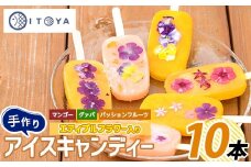 手作りアイスキャンディー エディブルフラワー入り 10本(たいやき絲や/010-1907) 鹿児島 手作り アイス アイスキャンディー 氷 氷菓子 スイーツ おやつ マンゴー グァバ パッションフルーツ セット 詰合せ 冷凍