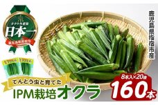 栽培期間中、農薬の使用を抑えた指宿産オクラ160本(8本入×20袋)(エコオクラグループ/010-2006) オクラ おくら 野菜 夏野菜 旬 特産 夏 新鮮 鹿児島県