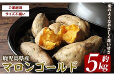鹿児島県産 マロンゴールド 約5kg(JAいぶすき/010-1785) さつまいも 鹿児島 家庭用 サイズ 不揃い 芋 焼き芋 天ぷら