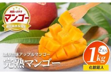 【2025年 発送】美味しいマンゴーできました！指宿産アップルマンゴー3Lサイズ2玉(化粧箱入)(岡村商店/020-1770) マンゴー フルーツ 果物 旬 夏 指宿 いぶすき 鹿児島  完熟  お供え 御供 ギフト 贈り物 プレゼント グルメ 予約 先行予約 南国 南国フルーツ 果実 マンゴー 太陽 国産 鹿児島県産 果汁 アップルマンゴー