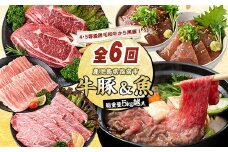 ＜定期便・全6回(連続)＞【総重量5㎏越え】4・5等級黒毛和牛・黒豚・マグロ丼・カツオ丼・カツオのたたき・すり身定期便(水迫畜産/Z075-1983) 豚肉 牛肉 生ハム すき焼き 和牛 スライス 焼肉 ロース 黒豚 鍋 小分け ステーキ 焼き肉 かつお 指宿 鹿児島 いぶすき