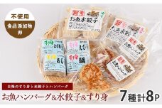 お魚ハンバーグ・お魚水餃子・すり身セット(カワノすり身店/010-1989) 鹿児島 魚 魚介 すり身 水餃子 ハンバーグ 練り物 食品添加物不使用 卵不使用 おかず 弁当 惣菜 小分け パック 詰合せ セット