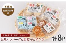 お魚ハンバーグ・お魚水餃子・すり身セット(カワノすり身店/010-1989) 鹿児島 魚 魚介 すり身 水餃子 ハンバーグ 練り物 食品添加物不使用 卵不使用 おかず 弁当 惣菜 小分け パック 詰合せ セット