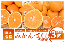 【全３回定期便】みかん尽くし定期便(迫田果樹園/Z035-1868) ぽんかん 不知火 ( しらぬい ) たんかん みかん フルーツ 柑橘 旬 果物 いぶすき 指宿 鹿児島 開聞 完熟 果実 春