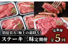 【全５回定期便】 大満足 ステーキ 三昧 定期便 (Meat you/Z-047)  黒毛 姫牛 A4ランク リブロース サーロイン フイレ モモ サイコロステーキ 国産 和牛 牛肉 黒毛和牛