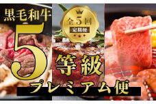 【全５回定期便】数量限定！鹿児島県産黒毛和牛5等級プレミアム定期便(水迫畜産/Z-077) 5等級 定期便 5回 黒毛和牛 牛 牛肉 国産 鹿児島県産 肉 自社牧場 ヒレ ヒレステーキ サーロイン サーロインステーキ 肩 カタロース 肩ロース すきやき 焼き肉 やきにく 鍋 モモ モモ肉 ステーキ すき焼き 焼肉 しゃぶしゃぶ 鹿児島 指宿