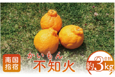 【2026年 発送】かいもん不知火 約3kg(迫田果樹園/010-211) しらぬい みかん フルーツ 柑橘 旬 果物 いぶすき 指宿 鹿児島 開聞 完熟 果実 春