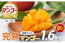 【2026年 発送】室屋さんの完熟マンゴー(訳あり品)約1.6kg 3～6玉(中園久太郎商店/017-1760) マンゴー フルーツ 果物 旬 夏 指宿 いぶすき 鹿児島  完熟  お供え 御供 ギフト 贈り物 プレゼント グルメ 南国 南国フルーツ 果実 マンゴー 太陽 国産 鹿児島県産 果汁