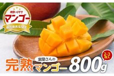 【2026年 発送】室屋さんの完熟指宿産マンゴー約800g 2個～3個入り(中園久太郎商店/016-1758) マンゴー フルーツ 果物 旬 夏 指宿 いぶすき 鹿児島  完熟  お供え 御供 ギフト 贈り物 プレゼント グルメ 南国 南国フルーツ 果実 マンゴー 太陽 国産 鹿児島県産 果汁