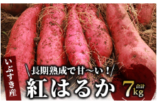指宿産 紅はるか7kg(アグリスタイル/A-301) 鹿児島 サツマイモ 薩摩芋 指宿市 焼芋 やきいも 焼きいも スイーツ おやつ デザート