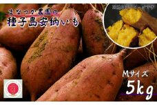 【  新物 ・先行予約 】 種子島 まなつか農園 安納いも ( 生いも ) M サイズ 5kg　NFN001【300pt】