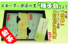 種子島 松寿園 希少種 「 松寿 」と「 たねがしま茶 」セット　NFN034【425pt】 // 伝統百年の茶園 厳選 ブレンド 希少種 グランプリ受賞 新茶 ギフト