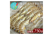 種子島 産 車えび サイズミックス 冷凍 車海老  (250g×3袋) 計750g　NFN072 【450pt】 // 黒潮 活きえび 急速冷凍 真空パック冷凍 加熱用 甘み 旨み 新鮮 ぷりっぷり 250ｇ 小分け 塩焼き 海老フライ 天ぷら エビチリ 