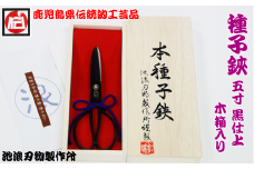 種子島 伝統工芸 種子 鋏 (たねばさみ) ５寸 黒仕上 木箱入　NFN160【800pt】