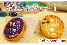 種子島 産 安納芋 紫芋 ジェラート 10個 セット　NFN146【400pt】 安納いも 紫いも 種子島産 牛乳 濃厚 アイスデザート 地元でも人気
