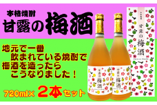 髙﨑酒造 種子島 焼酎 甘露 の 梅酒 720ml ×2本　NFN158【300pt】 // 無添加 本格梅酒 本格焼酎 芋焼酎 ロック 水割り 炭酸割り