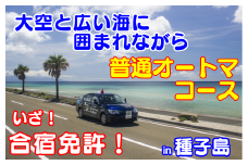 免許 取得 種子島 自動車学校 合宿免許 普通車 AT オートマ 学校寮 個室　NFN165【37400pt】