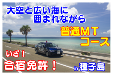 免許 取得 種子島 自動車学校 合宿免許 普通車 MT ミッション 学校寮 個室　NFN166【39600pt】