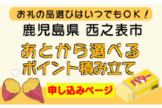 種子島 西之表市 応援 寄附金 ポイント 積み立て あとから選べる 　NFN999【250pt】