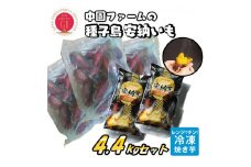 種子島 冷凍 安納焼いも 中園ファーム ＜ 大容量 業務 サイズ ＋ ギフト サイズ＞ 計4.4ｋｇ　NFN181 【375pt】 焼き芋 焼いも 焼芋 やきいも 安納芋 安納いも 熟成 安納焼きいも 安納地区産 大袋 訳あり 安納芋アイス お茶うけ おやつ ねっとり  