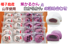 期間限定 種子島 紫 かるかん と 白 かるかん 詰め合わせ 酒井屋　NFN225【425pt】 // 銘菓 山芋 紫山芋 伝統 特産品 手作り かるかん饅頭 種子島産