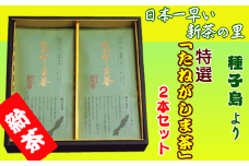 種子島 松寿園 特選 たねがしま茶 2本　NFN217【300pt】 // ブレンド 厳選 伝統百年の茶園 浅蒸し製法 スッキリ 上品な香り 甘くまろやか コク グランプリ