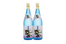 種子島酒造 種子島 芋 焼酎 かめ壺 仕込み 紫 (ゆかり) 1.8L 一升瓶 ×2本　NFN206【600pt】 // サツマイモ 紫いも 本格芋焼酎 種子島ゴールド 紫芋 白麹菌 芋焼酎 水割り 炭酸割り ロック 25度 種子島紫芋 
