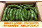 2ｋｇ用の配送箱に入れた状態の画像です。そら豆の2ｋｇはこれくらいの量です。2ｋｇ×２箱でのお届けになります。