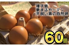 種子島 平飼い 産み立て たまご 夢まるガーデン 鶏卵 ×60個　NFN369【500pt】 玉子 鶏卵 卵 産み立て 鶏 こだわり 発酵飼料 安納いも 安納芋 安全 新鮮 オリジナルレシピ