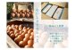 鶏舎の壁は、四方すべてが、金網仕様になっています。温かい日差しや、新鮮な空気がさえぎられることなく、鶏舎の中に流れ込みます。