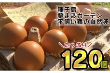 種子島 平飼い 産み立て たまご 夢まるガーデン 鶏卵 ×120個　NFN370【1000pt】 玉子 鶏卵 卵 産み立て 鶏 こだわり 発酵飼料 安納いも 安納芋 安全 新鮮 オリジナルレシピ