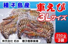 種子島 産 車えび 3L サイズ 冷凍 車海老 (250g×3袋) 計750g　NFN427 【500pt】