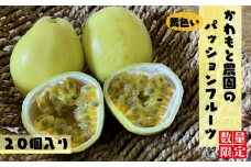 種子島 珍しい 黄色 パッションフルーツ かわもと農園 (20個入り)　NFN460 【450pt】 // 夏期限定 安心・安全 無農薬