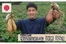 「種子島 安納いも 平山農園「 紅 」(Mサイズ) 5kg　NFN451【350pt】 // THE・安納いも 大人気 安納芋 本場・種子島 熟成