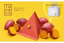  種子島 安納いも 冷凍 焼き芋『 taneco 』 保冷バッグ 入り　NFN472 【350pt】 安納芋 焼き芋 焼きいも やきいも 焼芋 焼き安納いも シェア 個包装 おしゃれ 特産品 コンクール トートバッグ 徹底した品質管理 クリーミー アイス