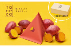  種子島 安納いも 冷凍 焼き芋『 taneco 』 贈答用 BOX入り　NFN471 【400pt】 安納芋 焼き芋 焼きいも やきいも 焼芋 焼き安納いも シェア 個包装 おしゃれ 特産品 コンクール リサイクル再生紙 ミルクラフト 徹底した品質管理 クリーミー アイス
