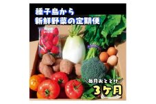 【３か月 定期便 】 種子島 の 新鮮 野菜 と 果物 ７～１０品 と 鶏卵 セット　NFN475 【975pt】 旬 セット ３か月 たまご 100サイズ 新鮮野菜 卵 