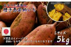 【  新物 ・先行予約 】 種子島 まなつか農園 種子島安納いも  ( 生いも ) Sサイズ　NFN486【300pt】
