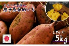 【 新物・先行予約】 種子島 まなつか農園 種子島安納いも ( 生いも ) Lサイズ 5kg　NFN487【300pt】
