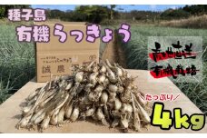 誠農園 たねがしま らっきょう （ 有機 JAS 根つき 生 らっきょう） 4kg　NFN490【700pt】 // 有機栽培 オーガニック 安心・安全 栄養価が高い 健康食材 甘酢 キムチ等の漬物 天ぷら 