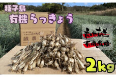 たねがしま らっきょう 誠農園 ( 種子島  有機 JAS 根つき 生らっきょう) 2kg　NFN489【350pt】 // 有機栽培 オーガニック 安心・安全 栄養価が高い 健康食材 甘酢 キムチ等の漬物 天ぷら 
