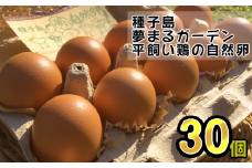 種子島 平飼い 産み立て たまご 夢まるガーデン 鶏卵 ×30個　NFN500【300pt】 玉子 鶏卵 卵 産み立て 鶏 こだわり 発酵飼料 安納いも 安納芋 安全 新鮮 オリジナルレシピ