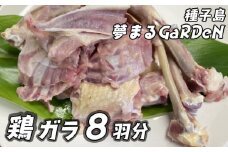 種子島 夢まるガーデン 鶏ガラ （８羽分）約3kg　NFN509 【300pt】 元気な鶏 鶏がら こだわり おいしいダシ 平飼い 鶏舎 四方開放 毎日牧草 発酵飼料 観察・ふれあい スープ