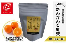【たねがしまる4000】 種子島 松寿園 香る 紅茶 フレーバーティー 「 たんかん と 紅茶 」1袋　NFN926【100pt】